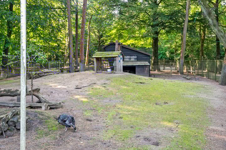 Foto 38 van Indigolaan 7