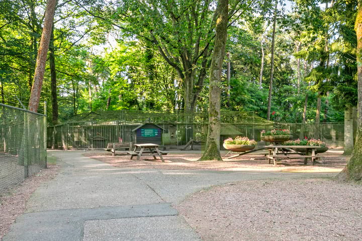 Foto 39 van Indigolaan 7