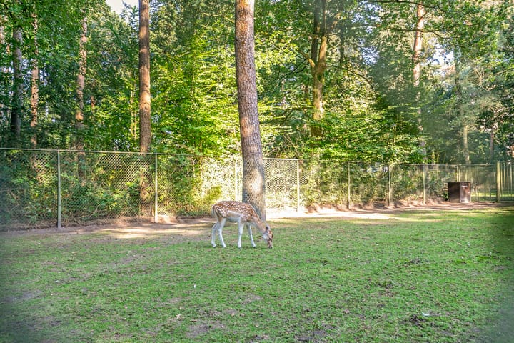 Foto 40 van Indigolaan 7