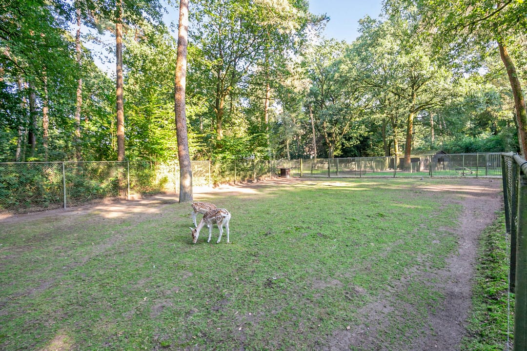 Foto 41 van Indigolaan 7