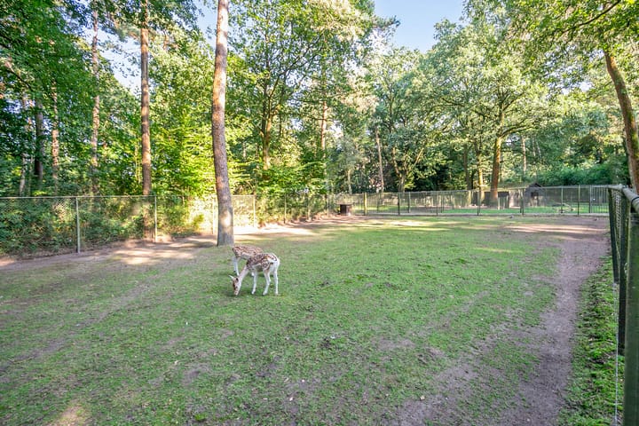 Foto 41 van Indigolaan 7