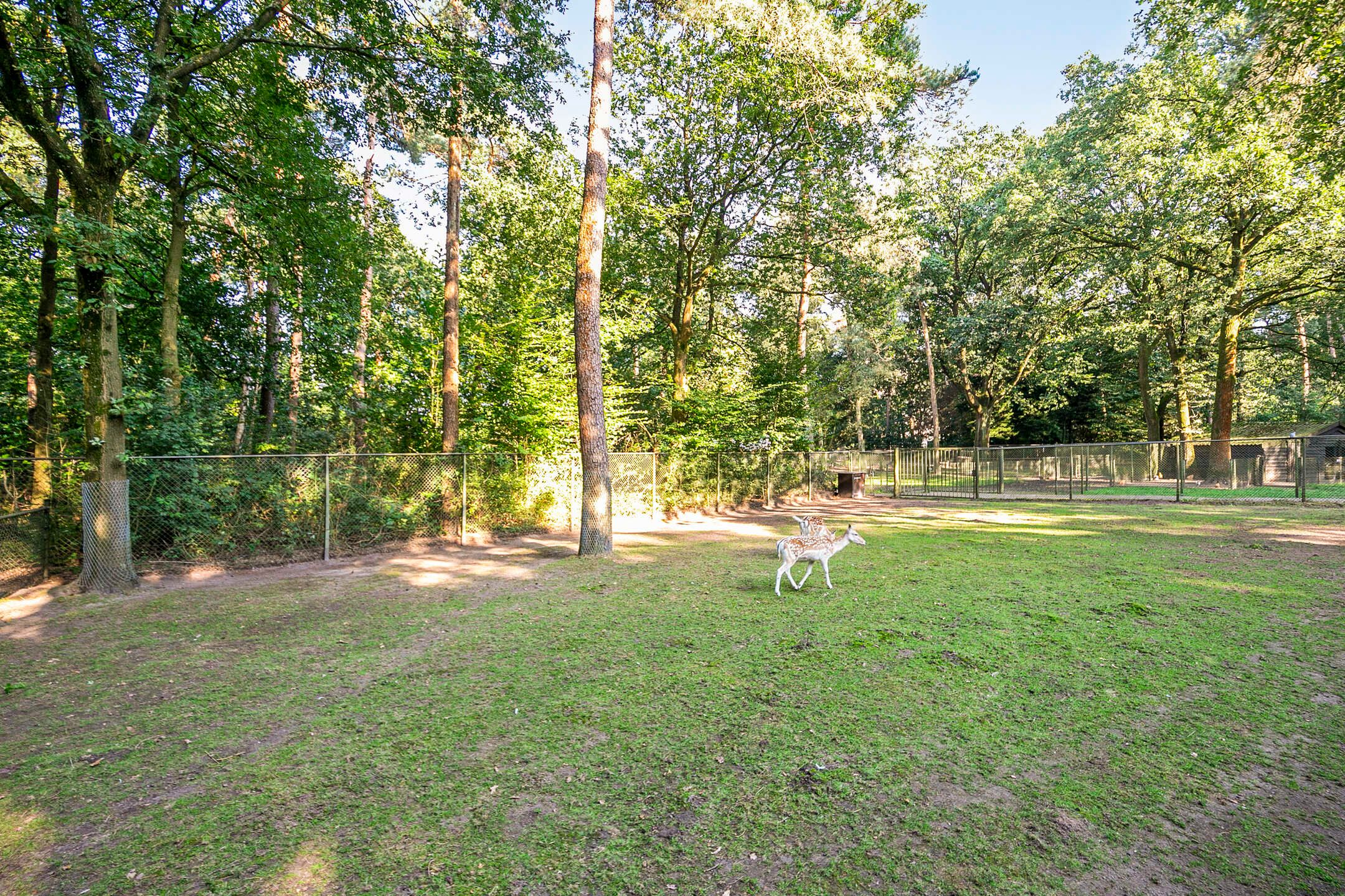 Foto 42 van Indigolaan 7