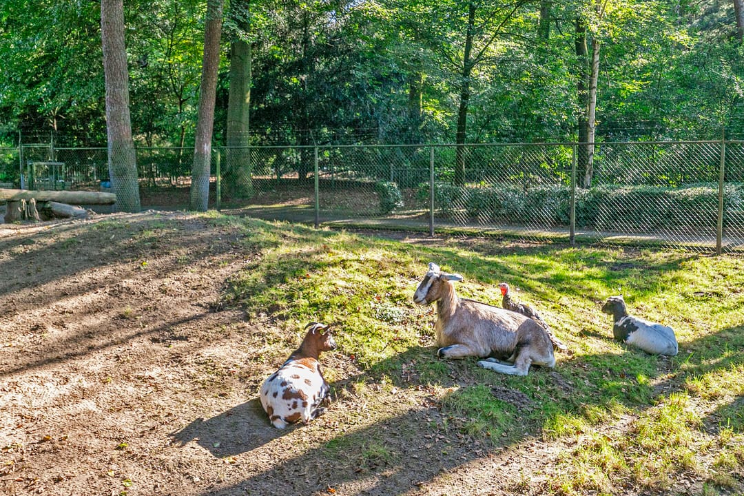 Foto 43 van Indigolaan 7