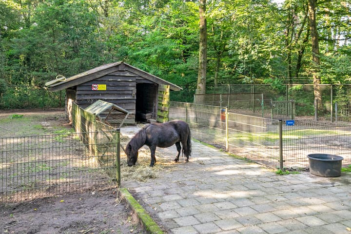 Foto 44 van Indigolaan 7