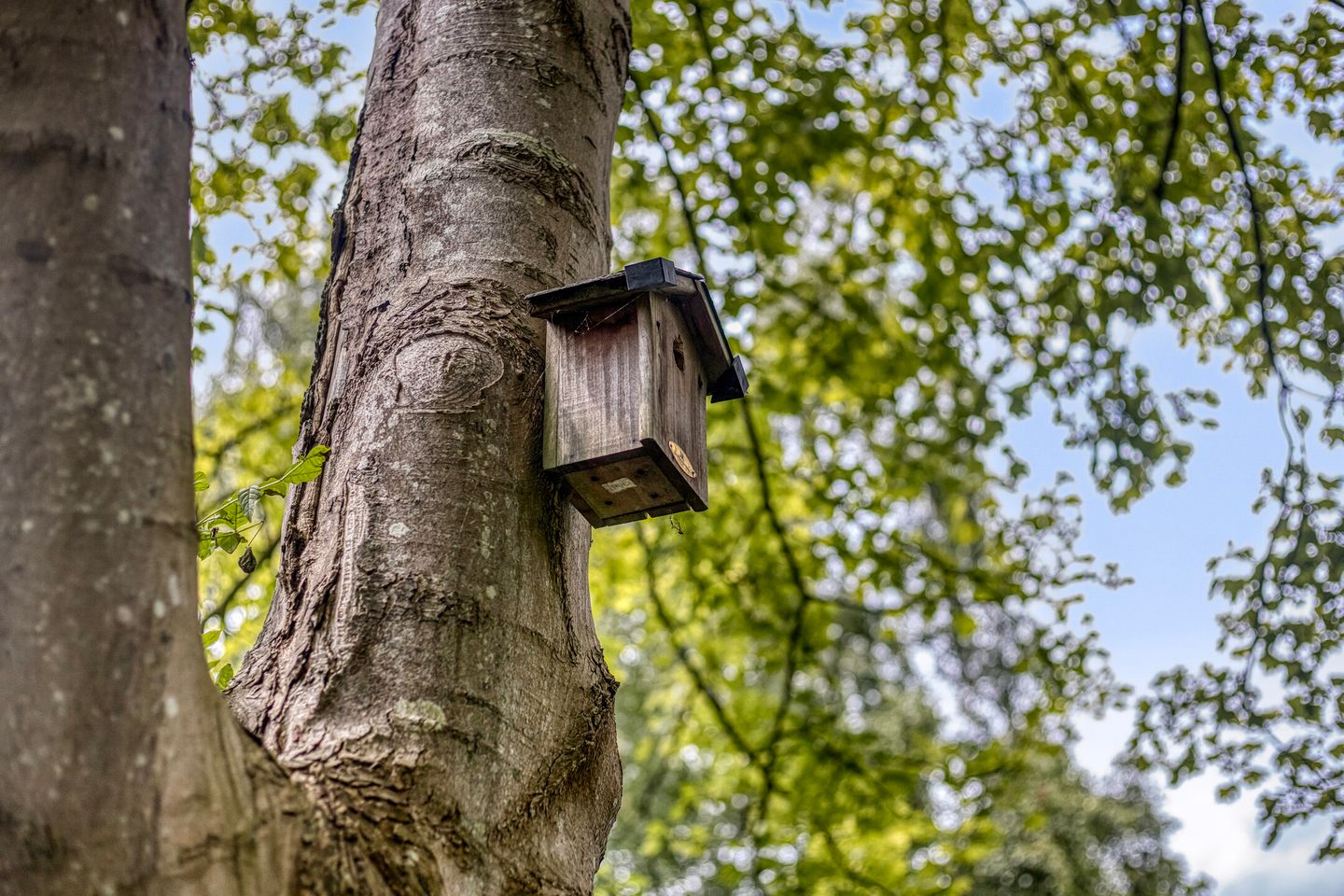 Foto 40 van Markeweg 23-A