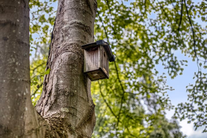 Foto 40 van Markeweg 23-A