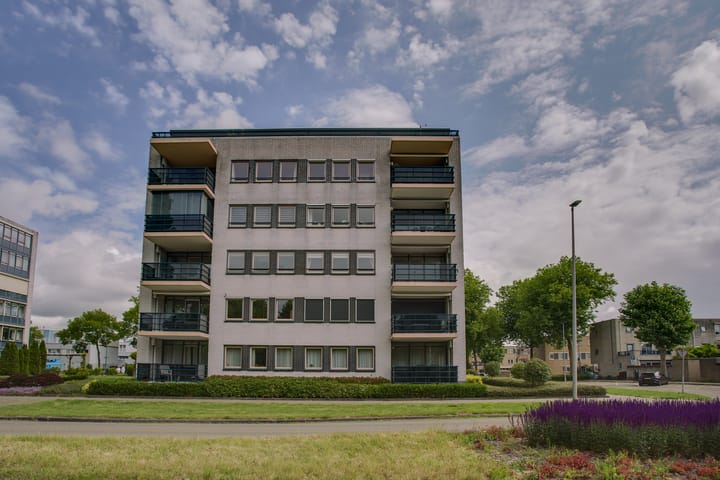 Foto 4 van Mosgroen 291