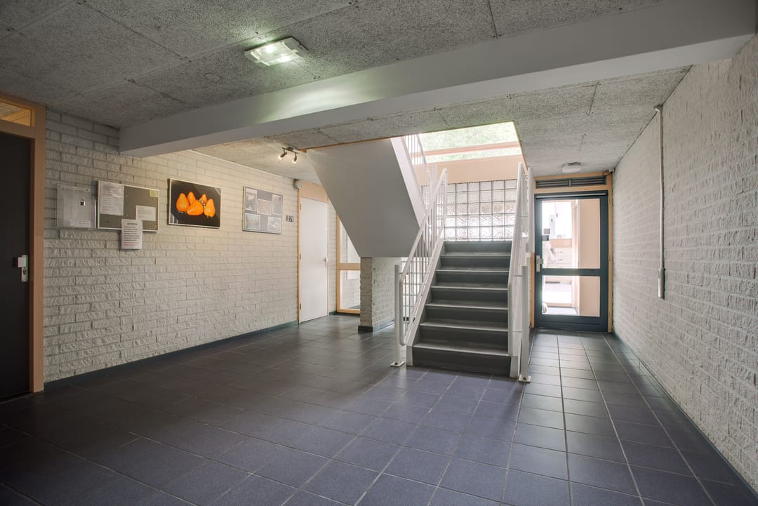 Photo 8 of Mosgroen 291