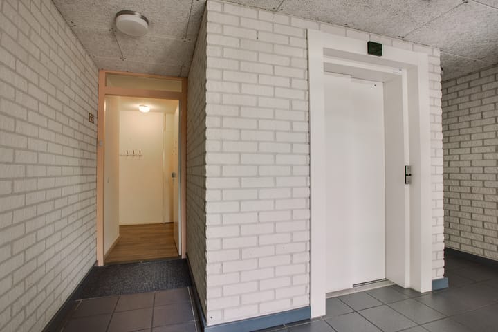 Foto 10 van Mosgroen 291