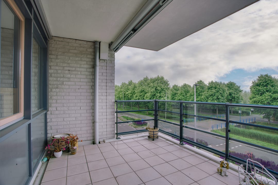 Photo 32 of Mosgroen 291