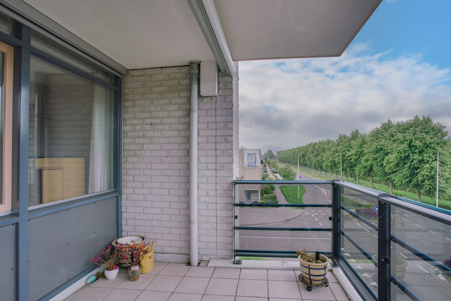 Photo 34 of Mosgroen 291