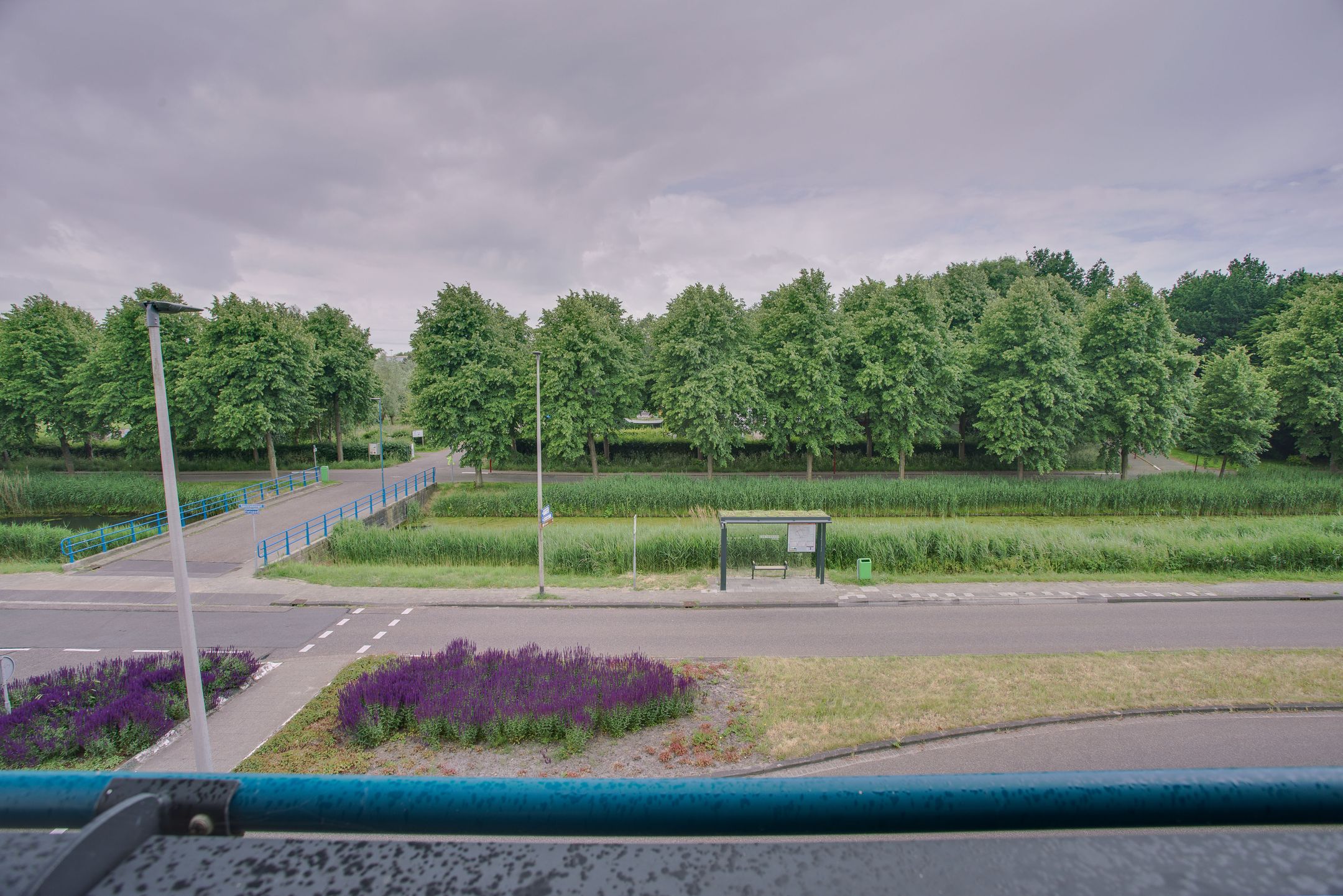 Photo 36 of Mosgroen 291