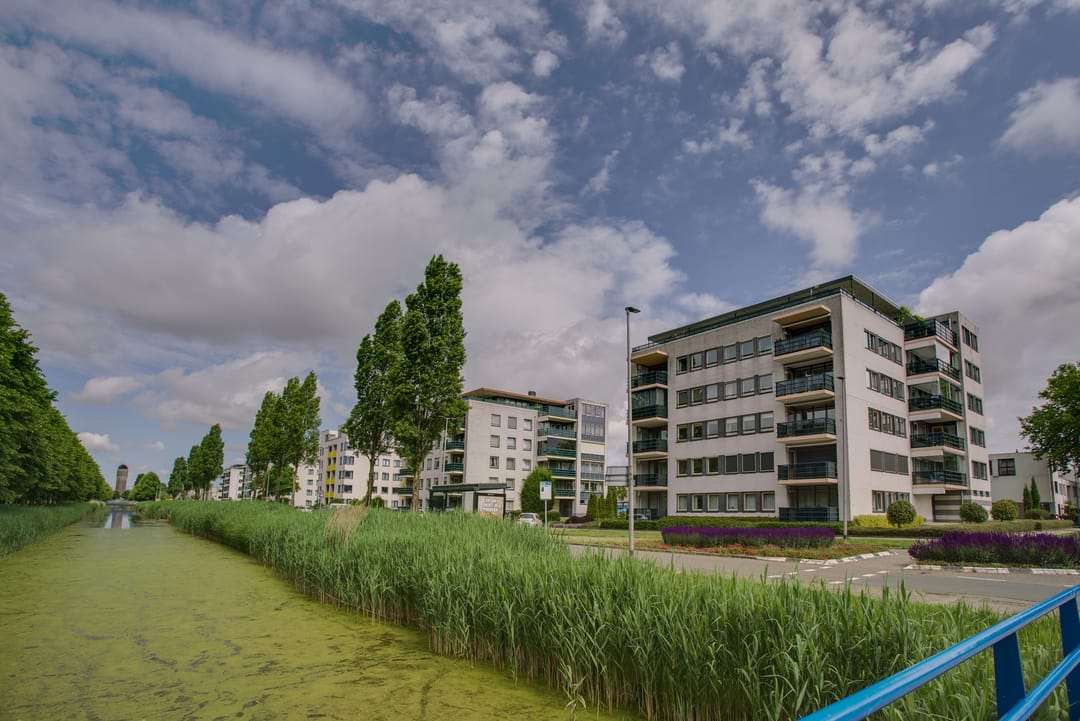 Photo 38 of Mosgroen 291