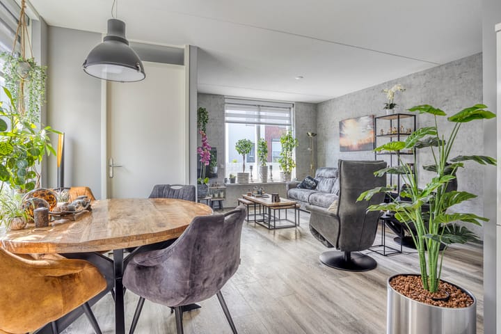 Photo 6 of Waterviolier 16