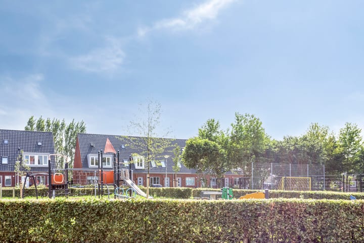 Photo 31 of Waterviolier 16