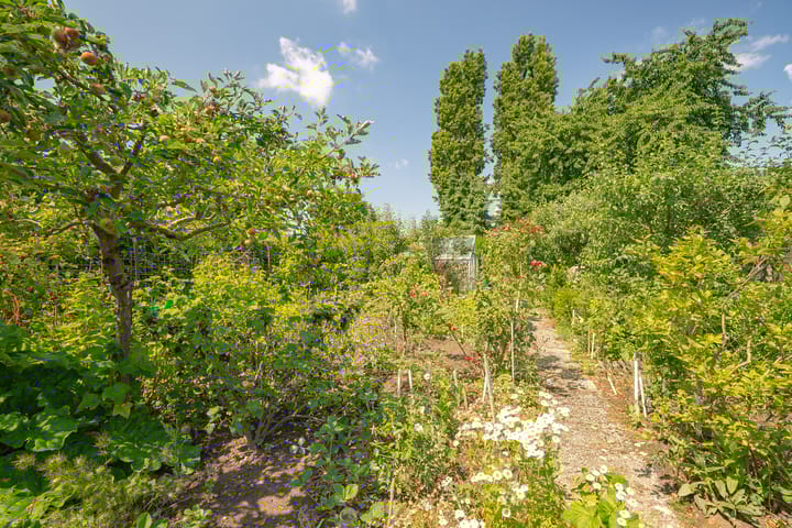 Foto 17 van Hoppenkampstraat 19