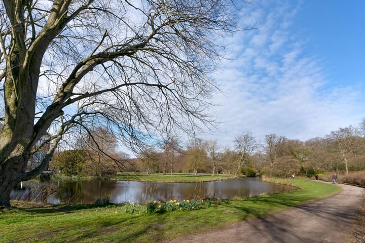 Foto 19 van Hart Nibbrigkade 71-14