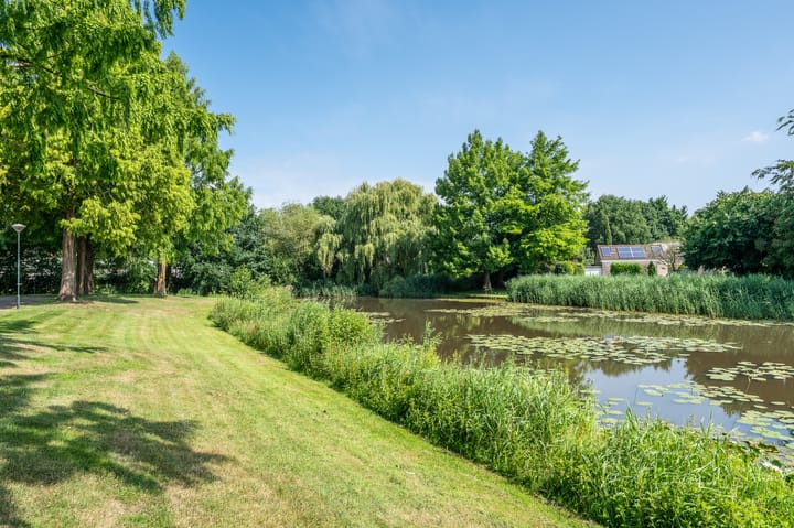 Foto 2 van Saffraanveld 57