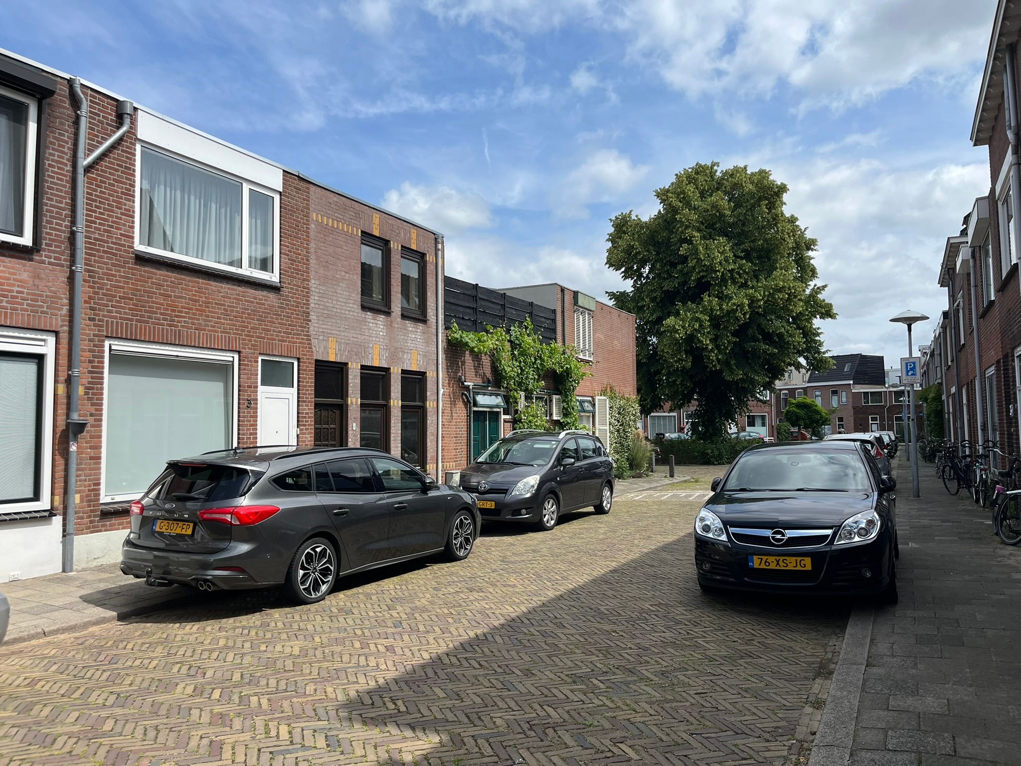 Chrysantstraat 3