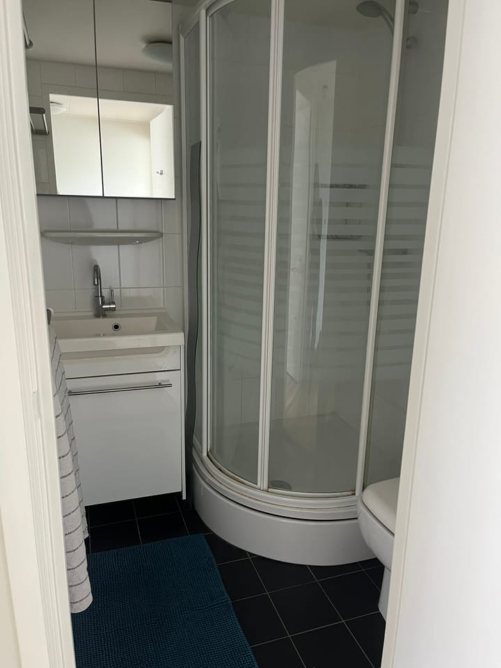 Foto 22 van Chrysantstraat 3