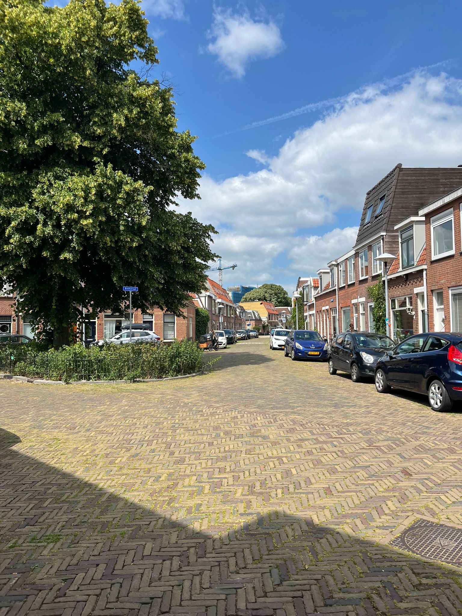 Foto 24 van Chrysantstraat 3