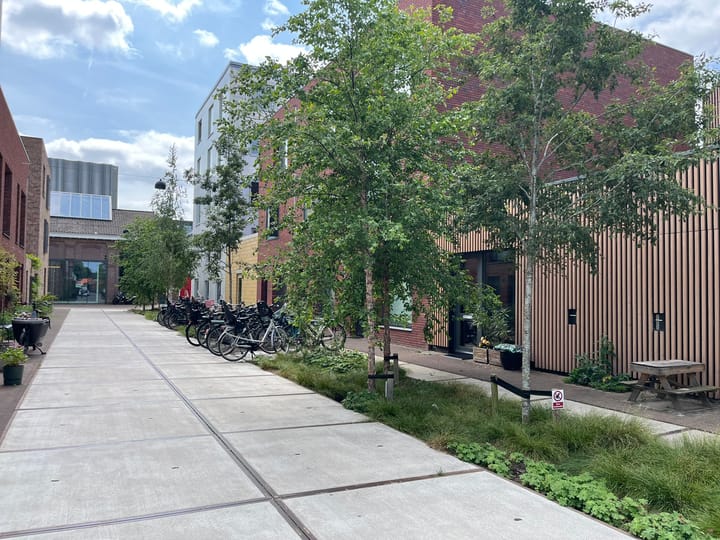 Foto 26 van Chrysantstraat 3