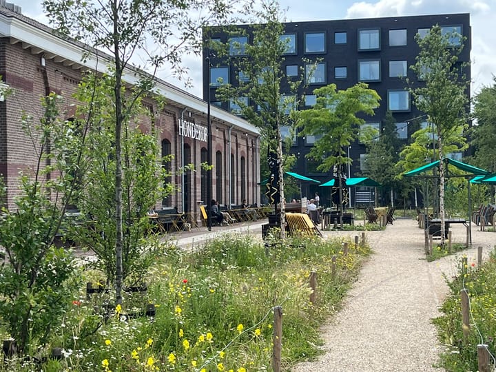 Foto 28 van Chrysantstraat 3