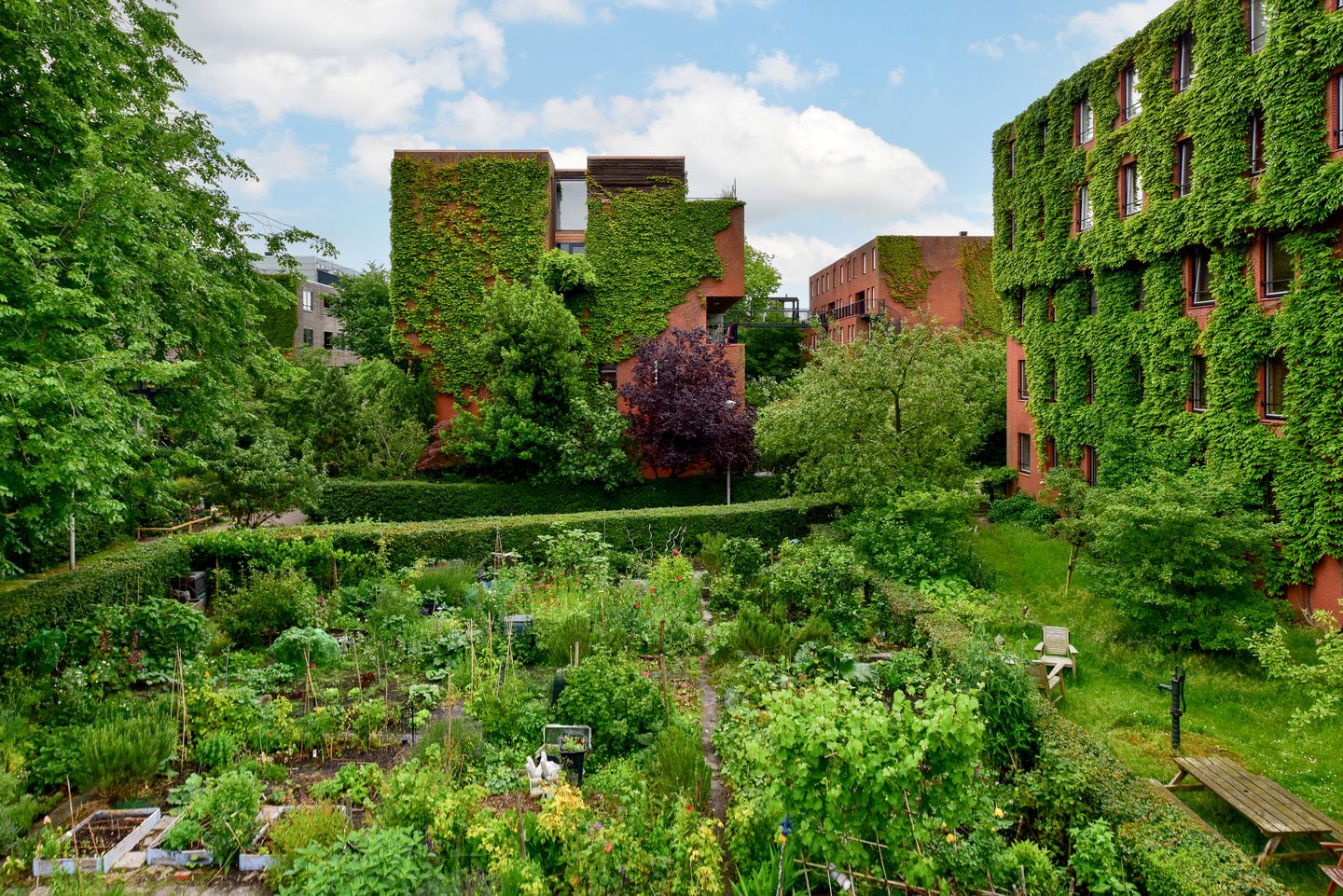 Foto 25 van Waterkersweg 258