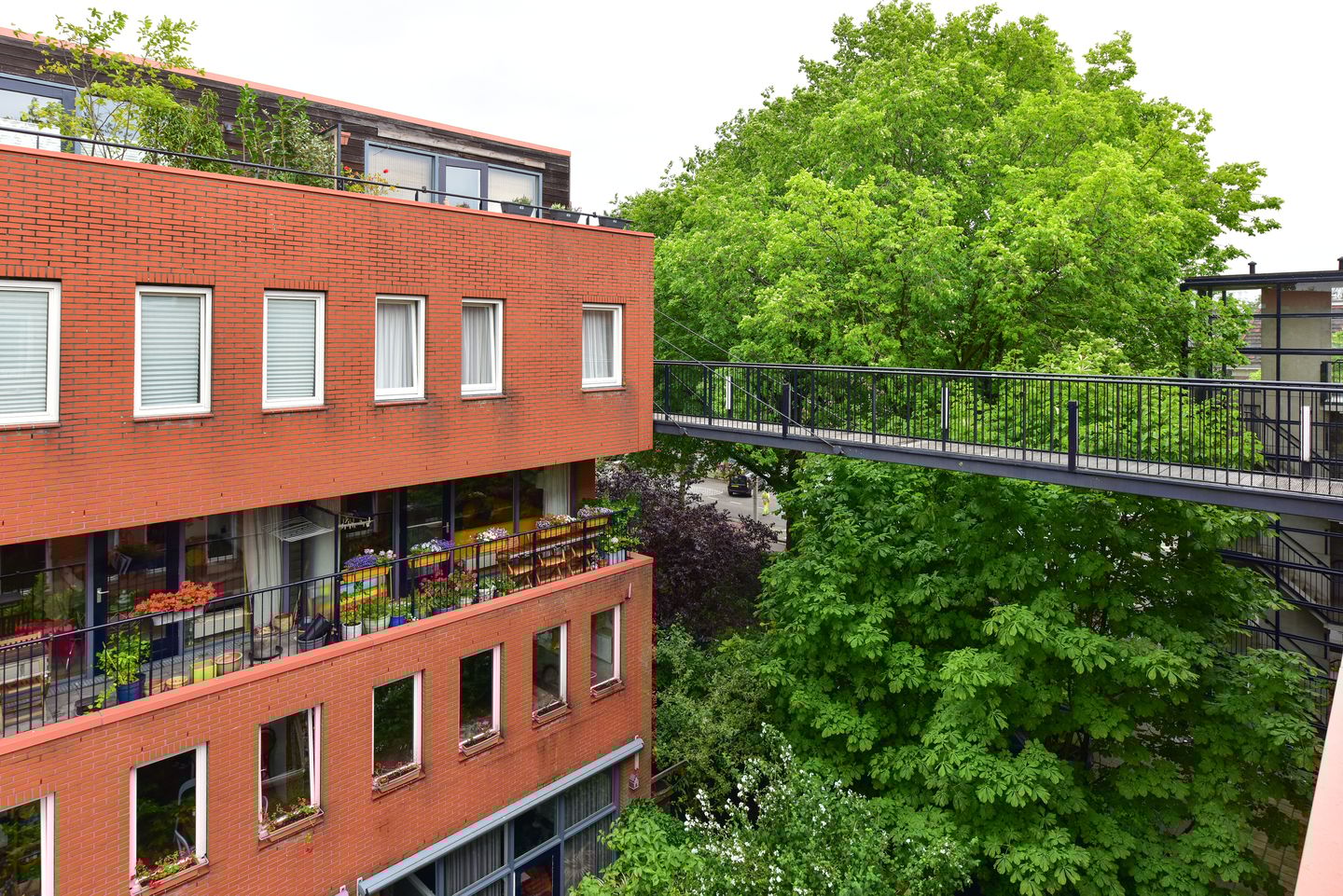 Foto 35 van Waterkersweg 258