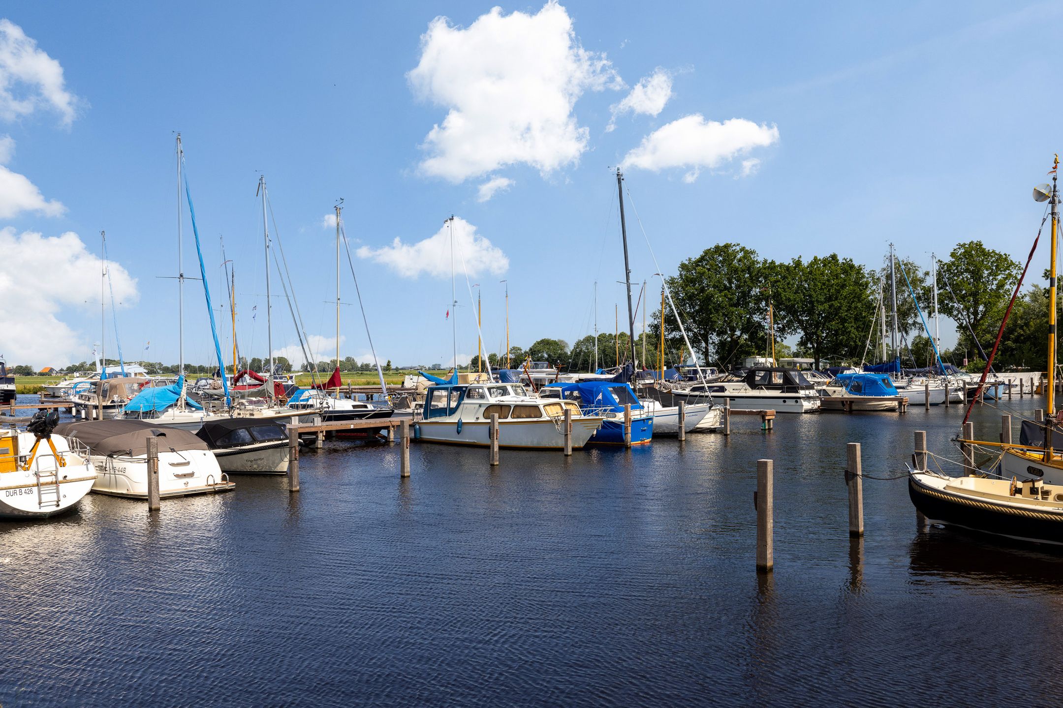 Foto 45 van Mastersein 12-14G