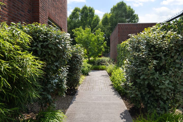 Foto 56 van Muntmeesterhof 3