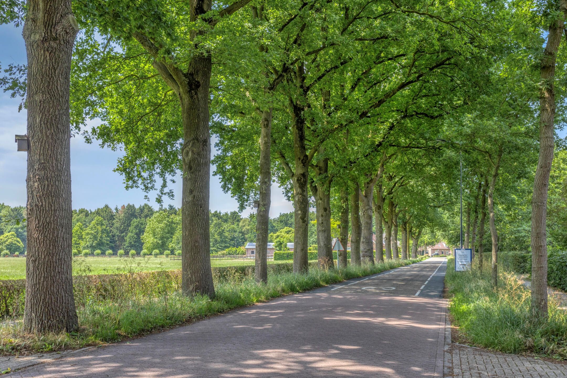 Photo 48 of Marie Trompstraat 2