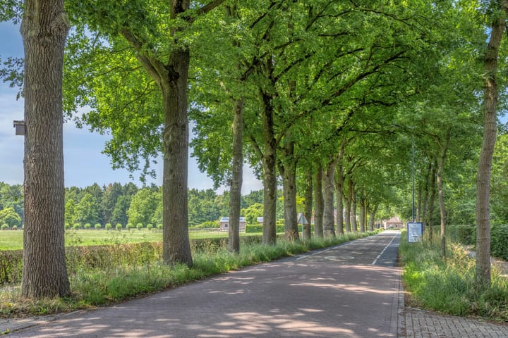 Foto 48 van Marie Trompstraat 2