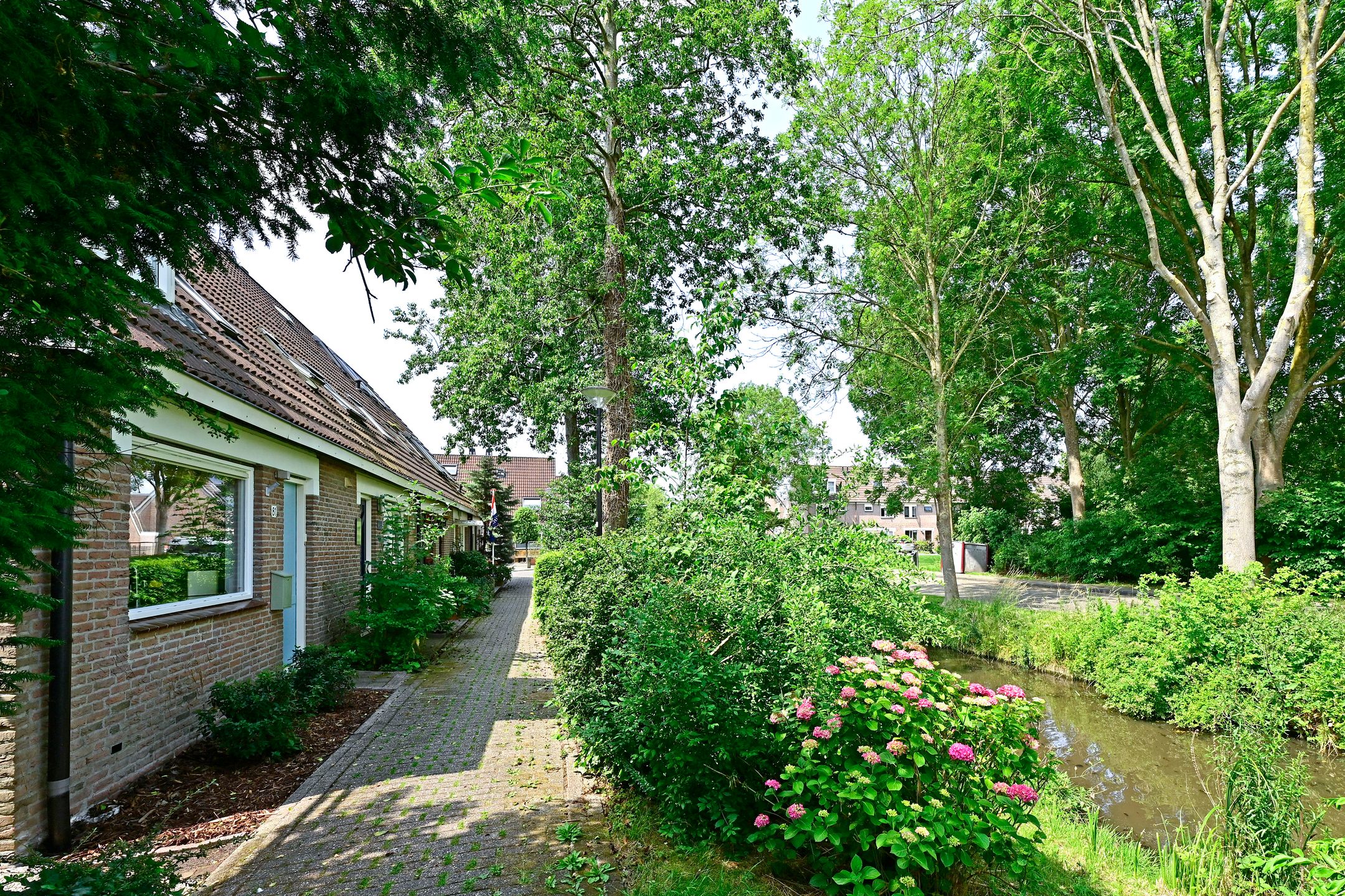 Foto 3 van Klijne Meer 81