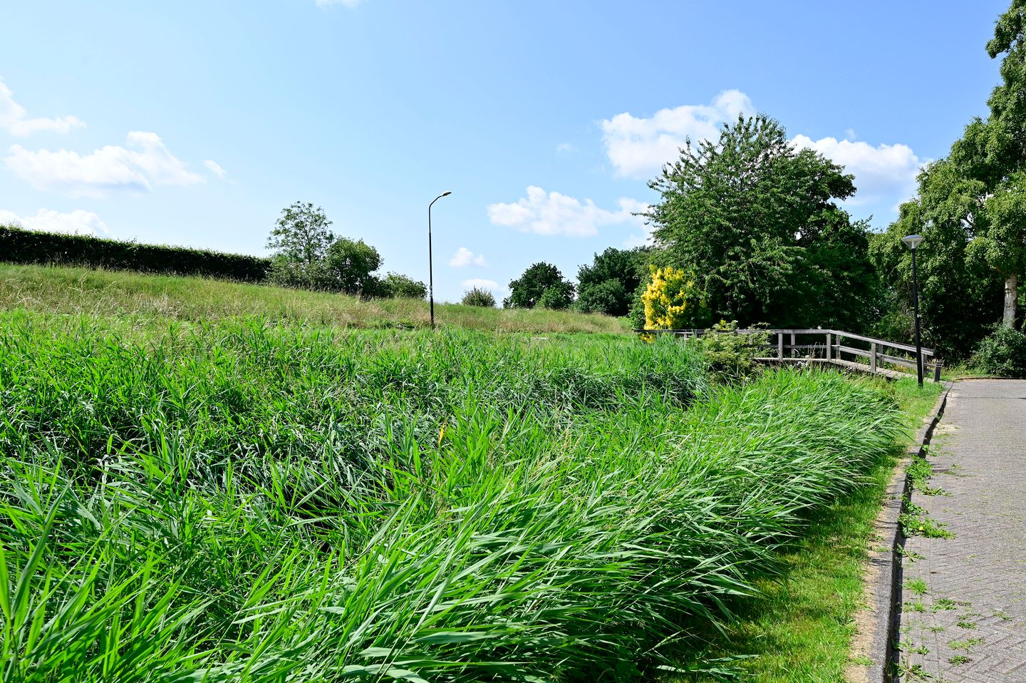 Foto 25 van Klijne Meer 81