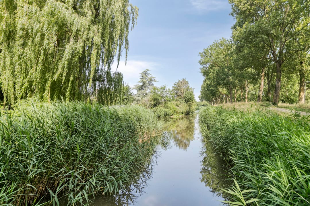 Foto 52 van de Brabant 14