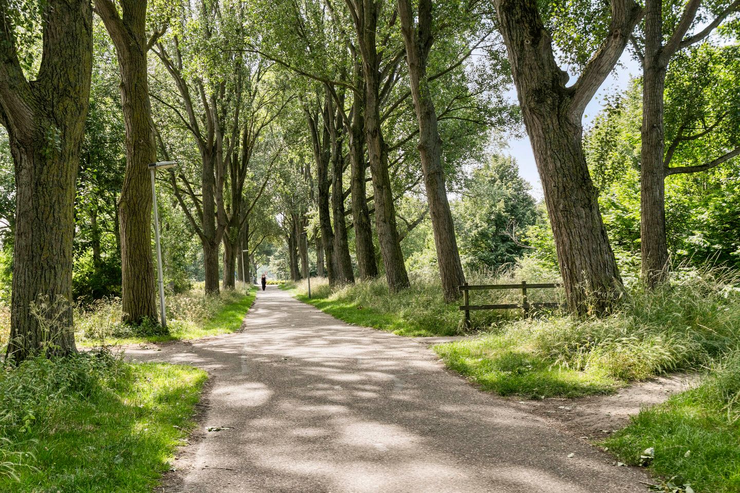 Foto 50 van de Brabant 14