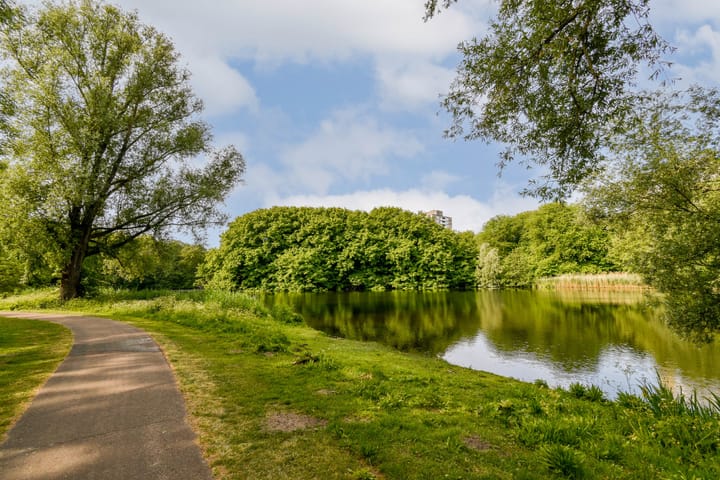 Foto 24 van Nachtwachtlaan 479