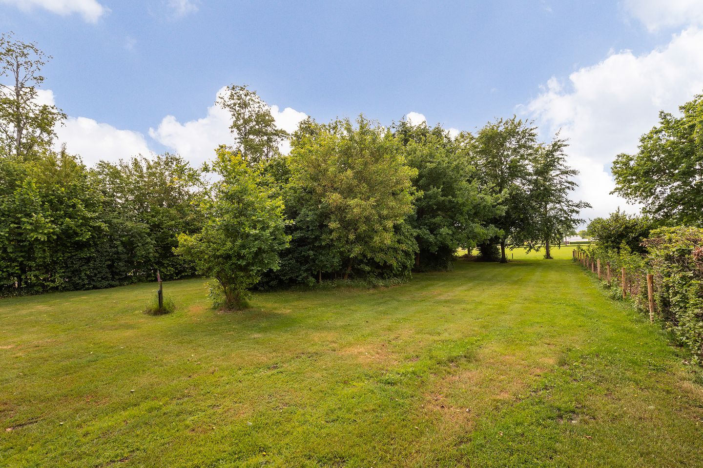 Foto 10 van Roosendaalseweg 202