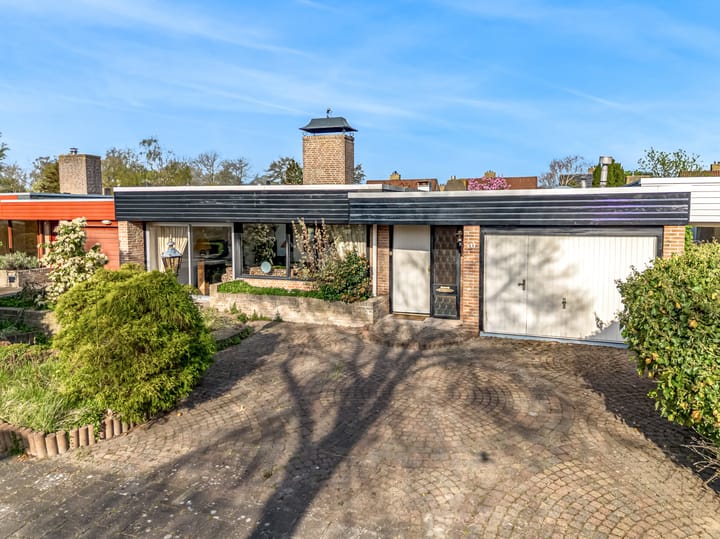 Foto 1 van Leeuwerik 10