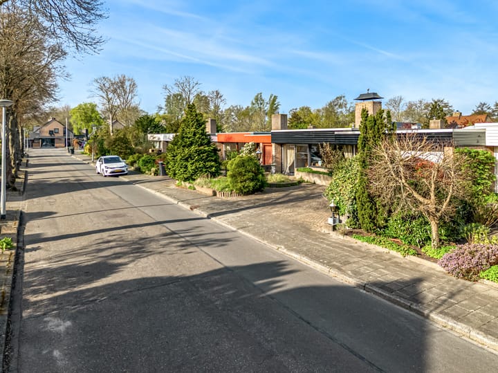 Foto 37 van Leeuwerik 10