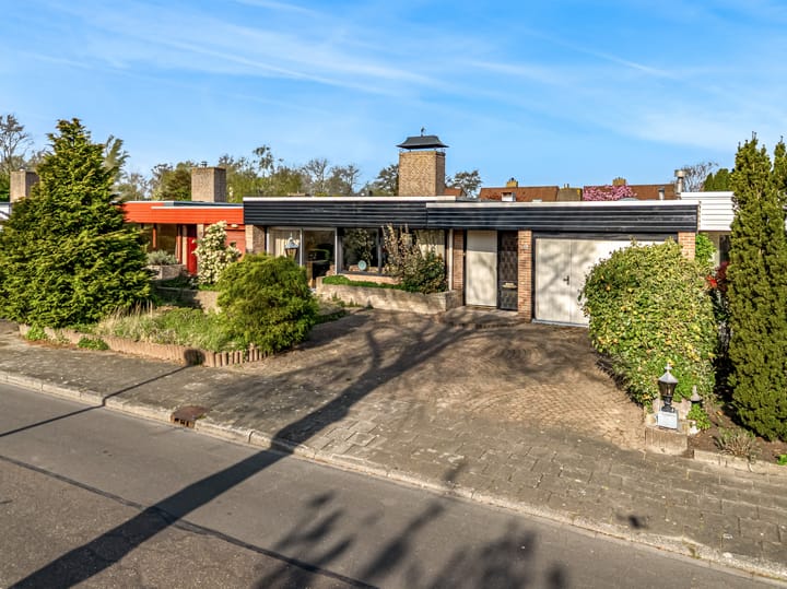 Foto 39 van Leeuwerik 10