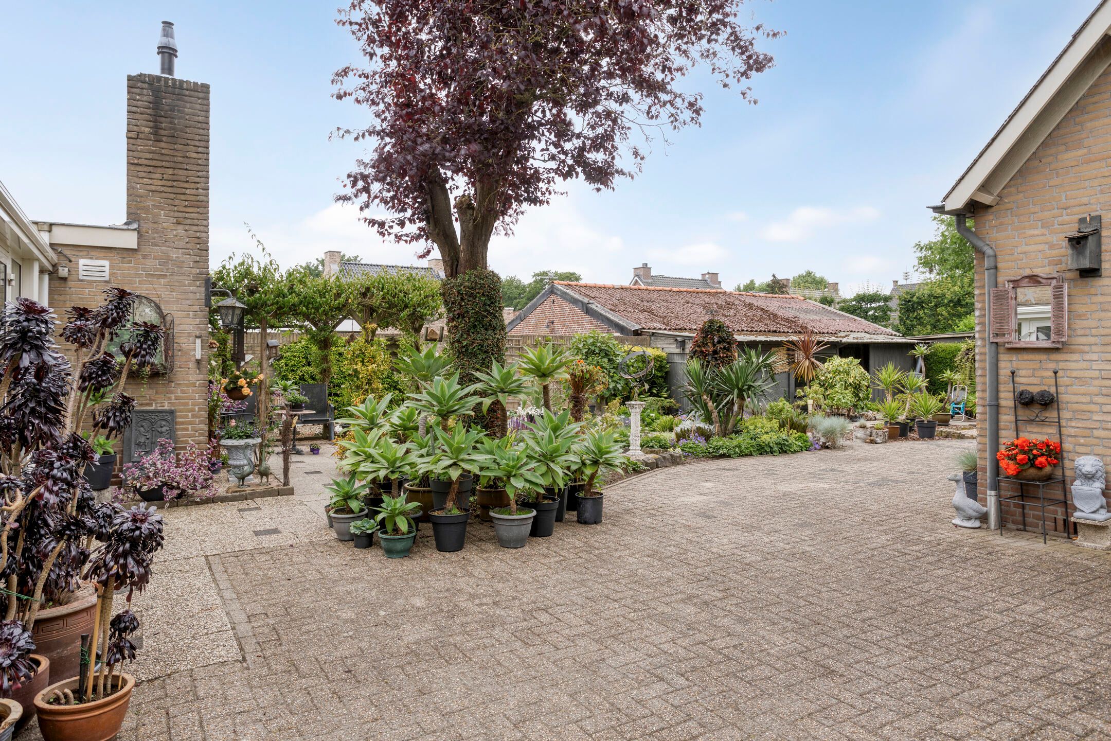 Foto 42 van Burgtstraat 49