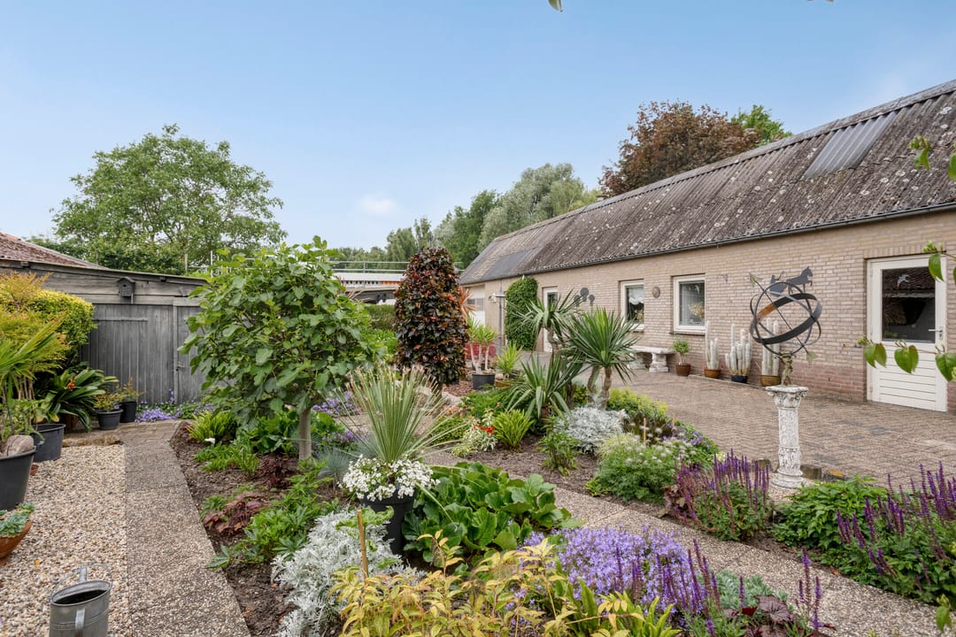 Foto 2 van Burgtstraat 49