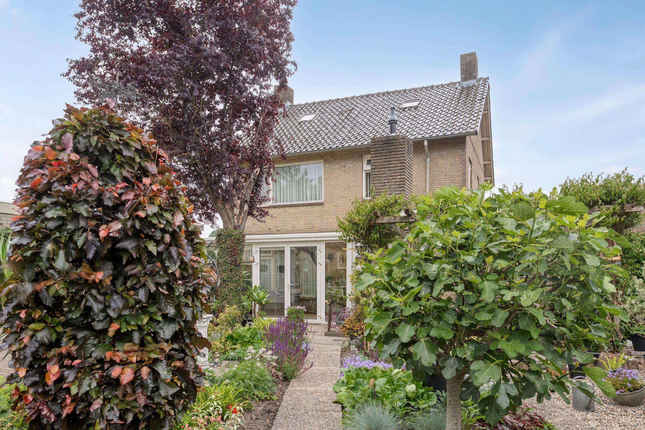 Foto 45 van Burgtstraat 49