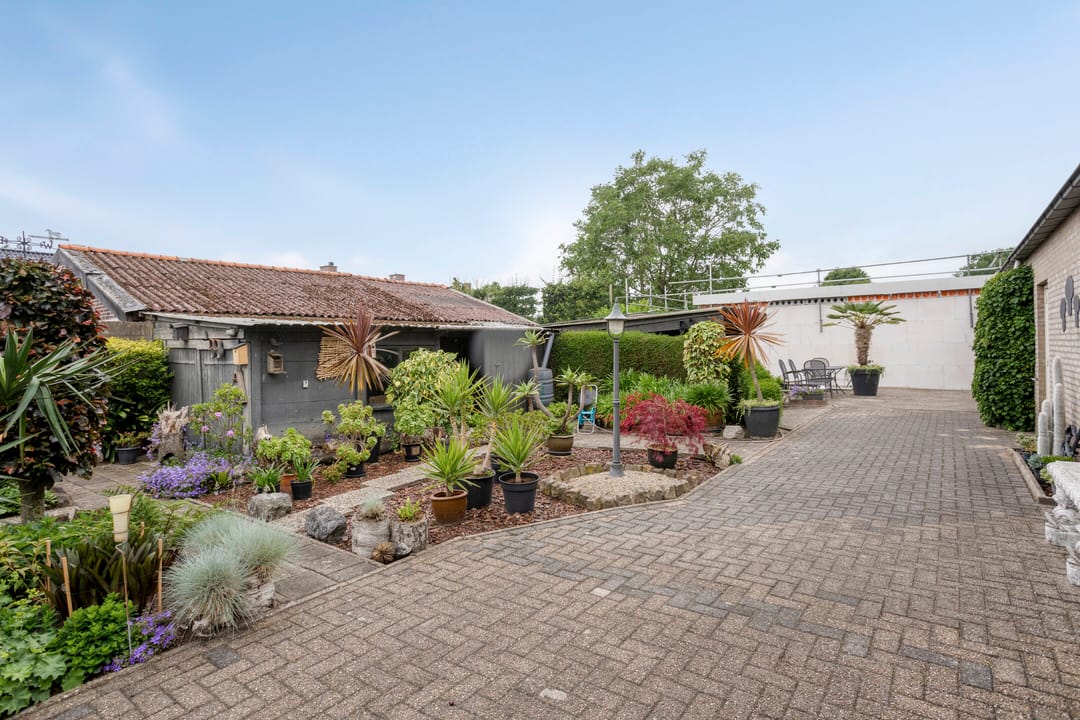 Foto 46 van Burgtstraat 49