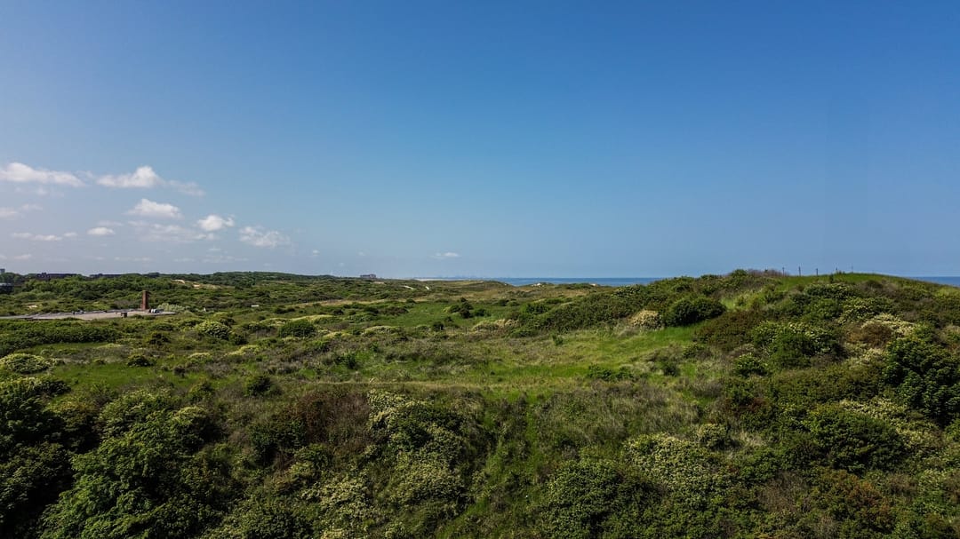 Foto 62 van Houtrustweg 483-B