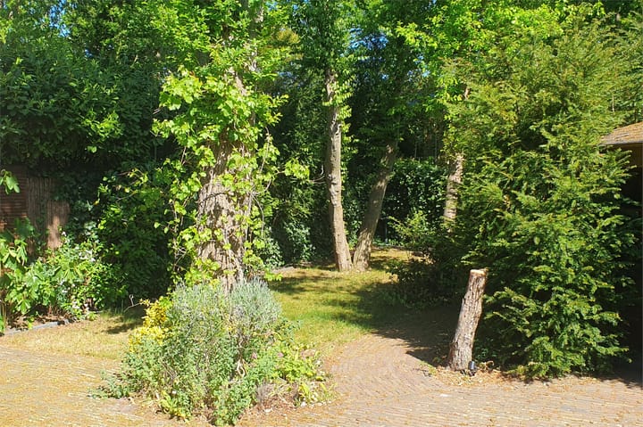 Foto 4 van Generaal Winkelmanlaan 29