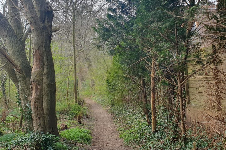 Foto 39 van Generaal Winkelmanlaan 29