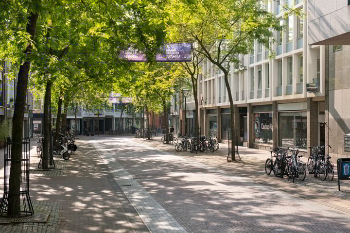 Foto 3 van Looierstraat 45-1